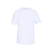 SCP-10676595:1326413-100-4.webp