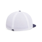UA Men Iso-chill Drive Low Stretch Fit Cap | 1389887