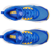 UA Boys Grade School Curry 3Z 24 | 3027627