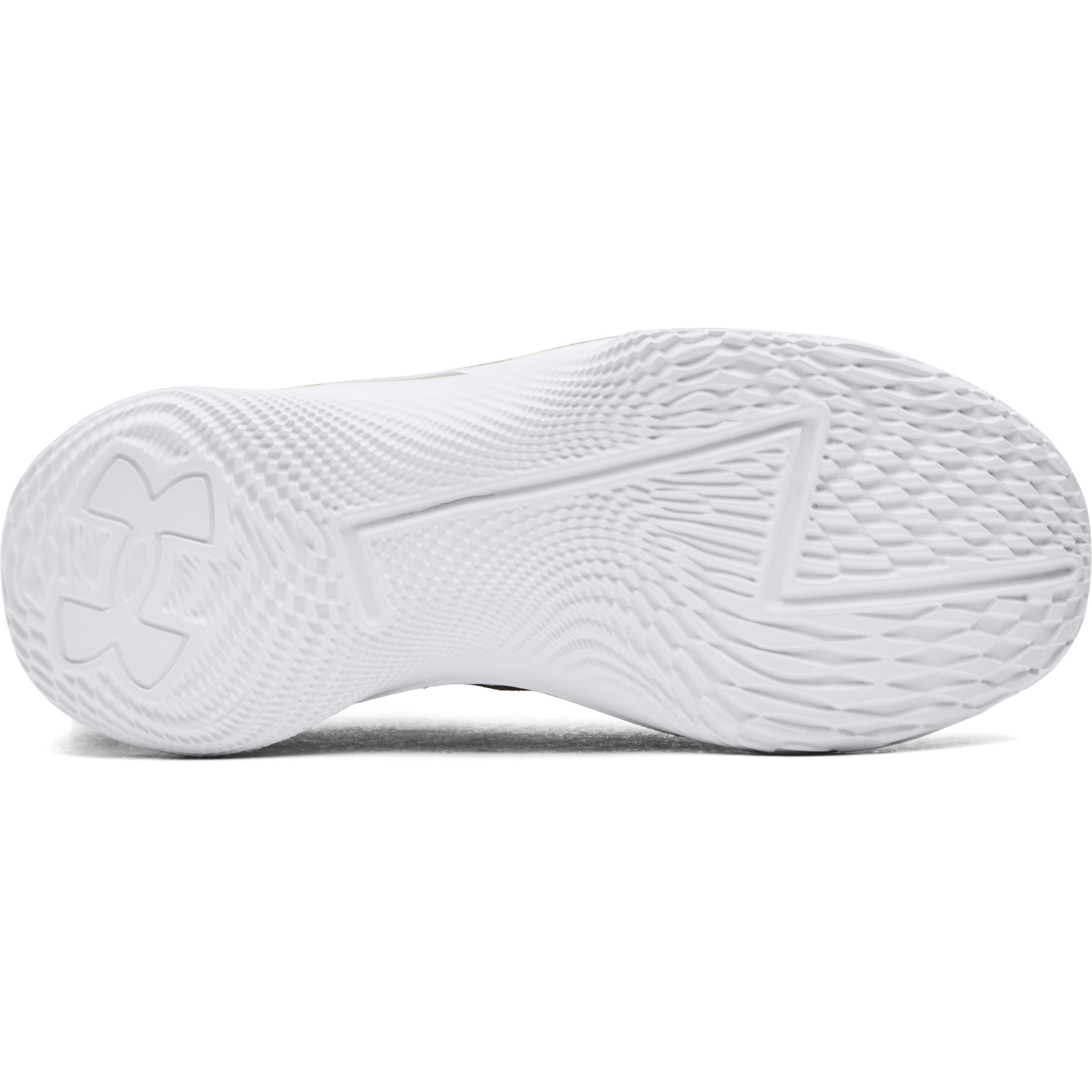 Under Armour Unisex Curry 1 Low Flotro Lux Bruce Lee 'Earth' | 3027603-300