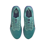 Nike Men Winflo 11 Road Running Shoes | FJ9509-010