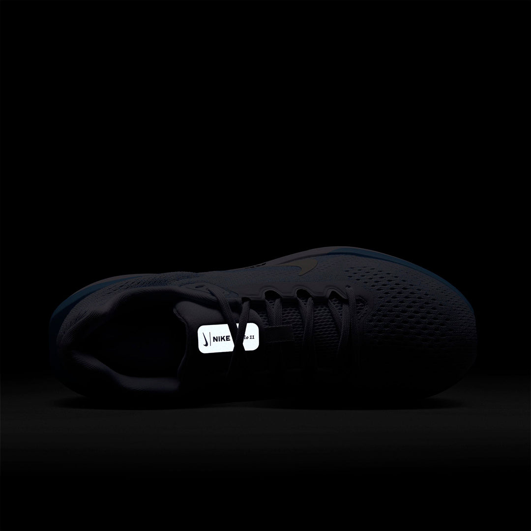 Nike Women Air Winflo 11 | FJ9510-007