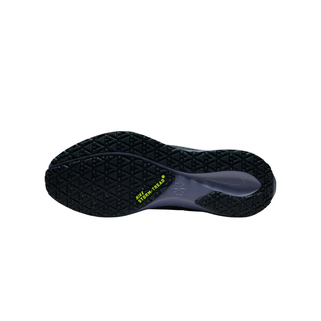 Nike Men Pegasus 41 GORE-TEX Waterproof Road Running Shoes | FQ1356-006