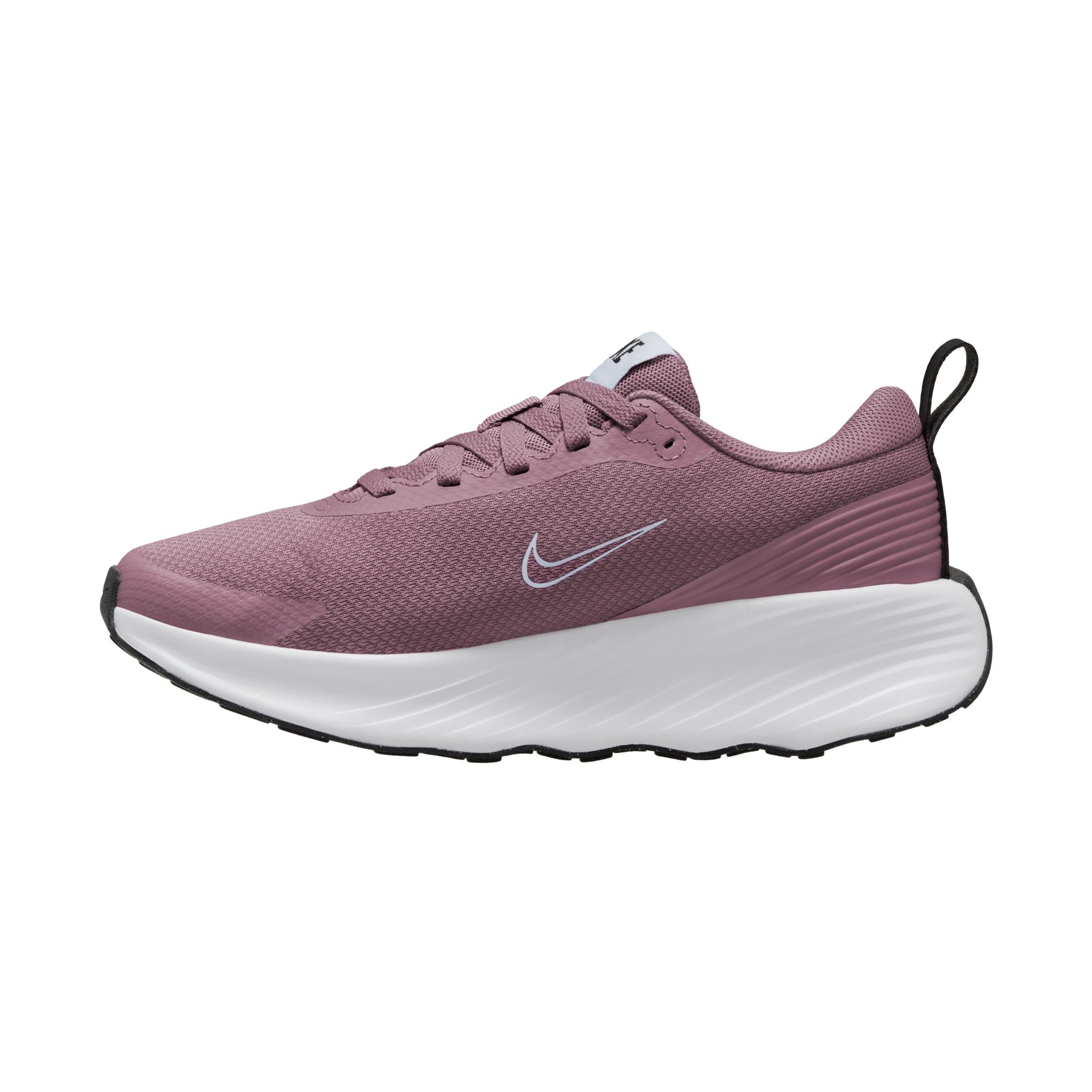 Nike Women Promina Walking Shoes | FV6343-500