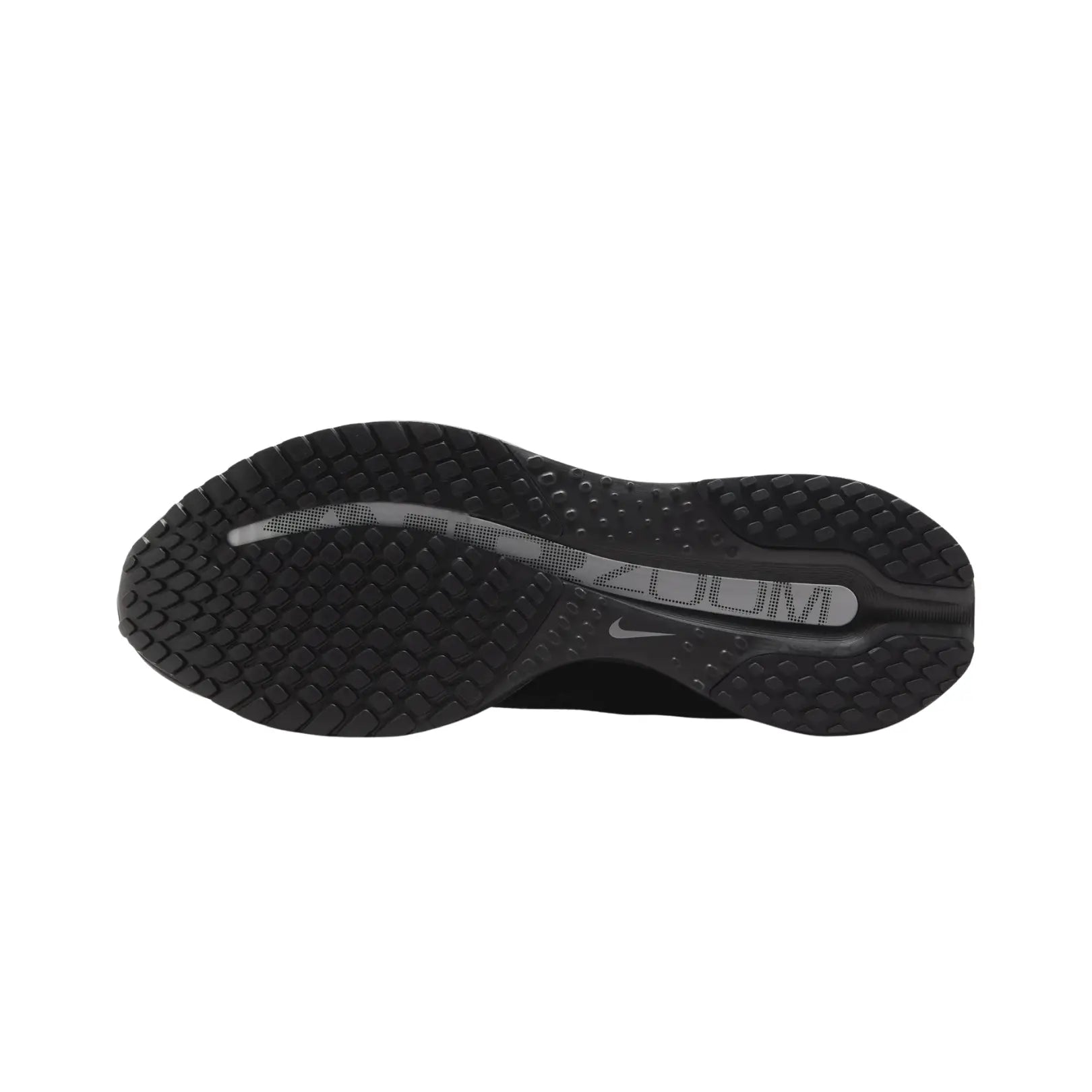 Nike Men Pegasus Premium Road Running Shoes | HQ2592-005