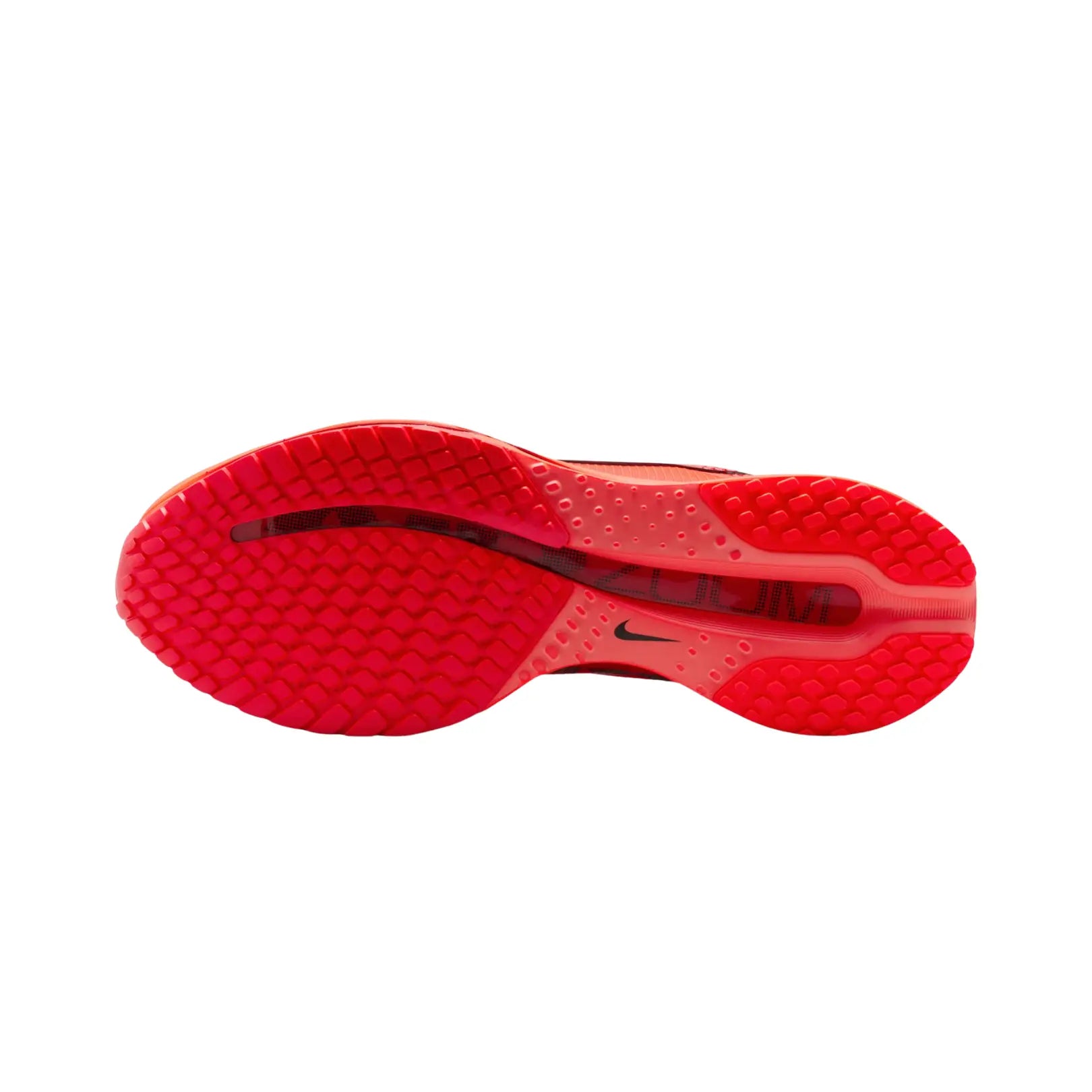 Nike Men Pegasus Premium Road Running Shoes | HQ2592-601