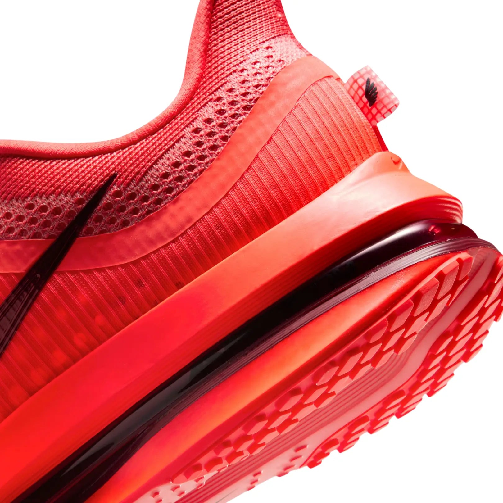 Nike Men Pegasus Premium Road Running Shoes | HQ2592-601