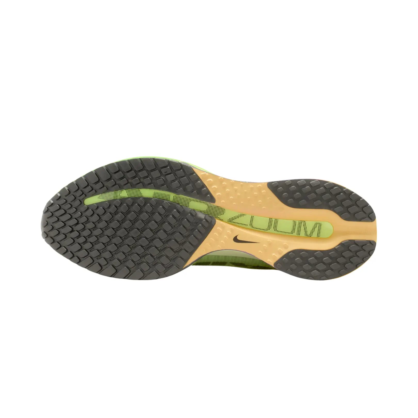 Nike Men Pegasus Premium Road Running Shoes | HQ2592-701