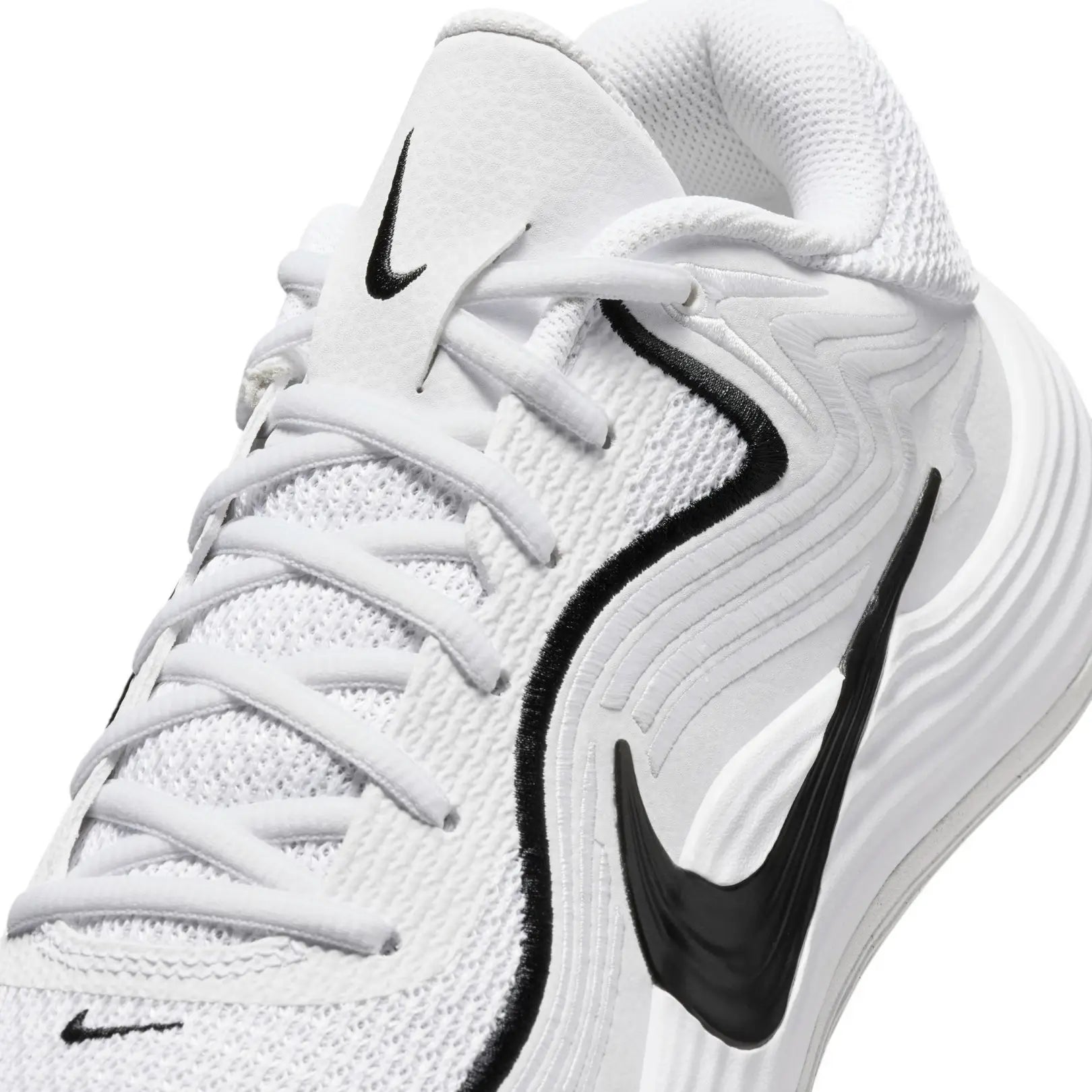 Nike Men Precision 8 Low Basketball Shoes | IH1104-100