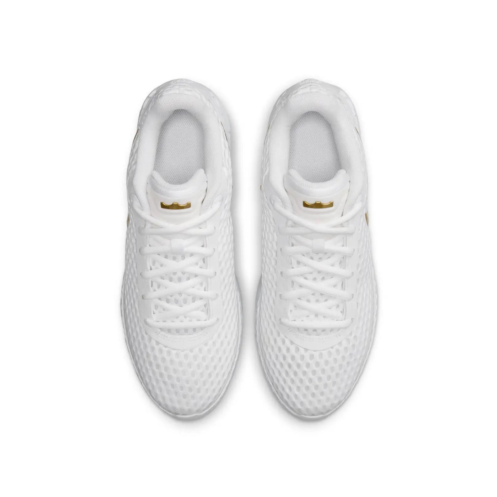 Nike Men LeBron Witness X EP Basketball Shoes | IQ9845-100
