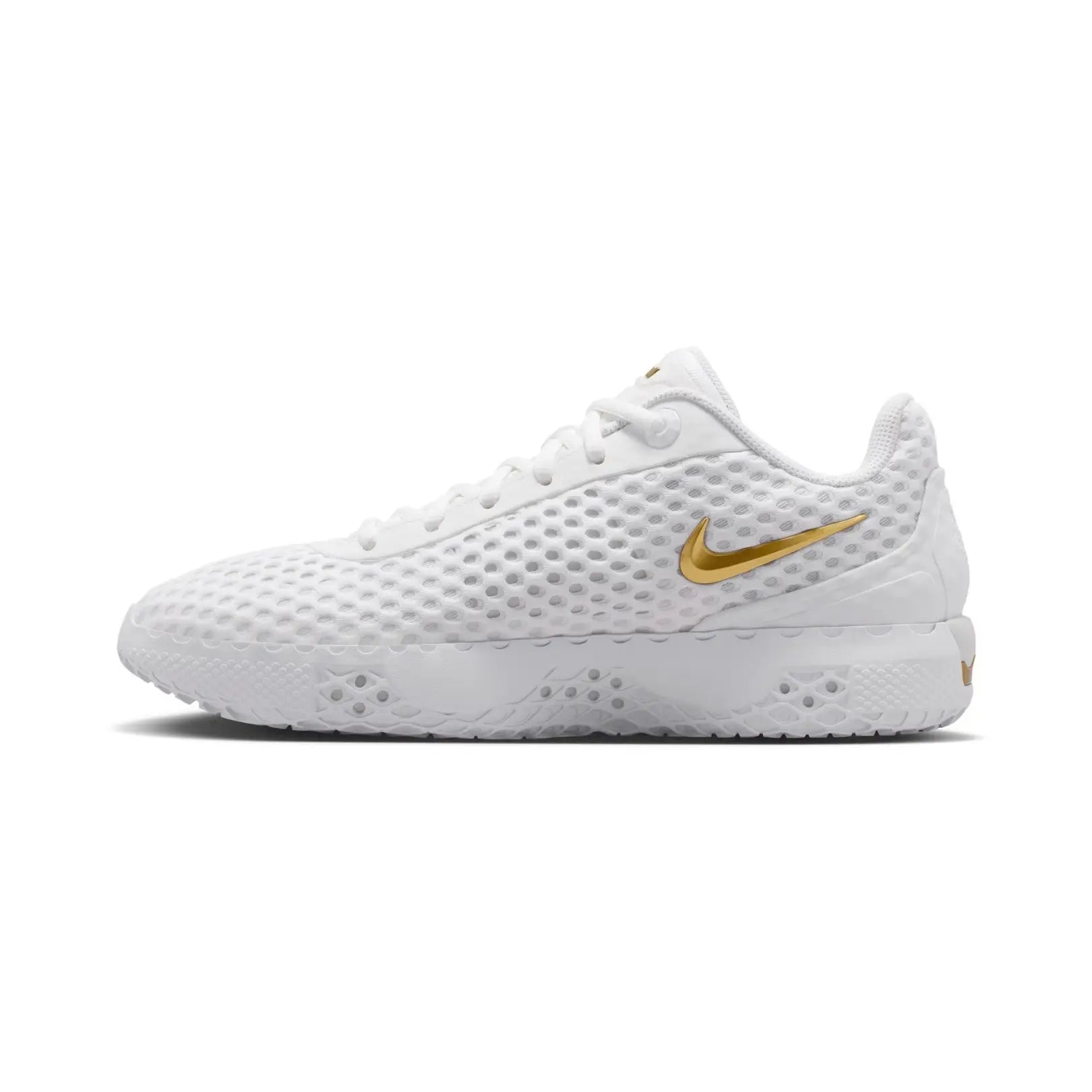Nike Men LeBron Witness X EP Basketball Shoes | IQ9845-100