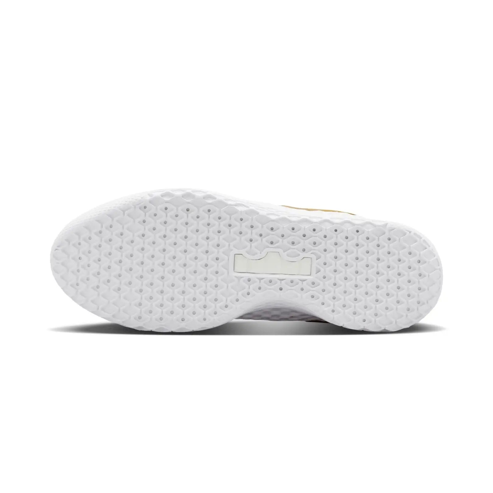 Nike Men LeBron Witness X EP Basketball Shoes | IQ9845-100