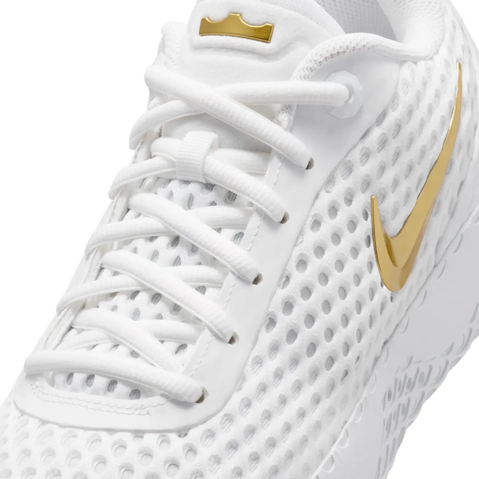 Nike Men LeBron Witness X EP Basketball Shoes | IQ9845-100
