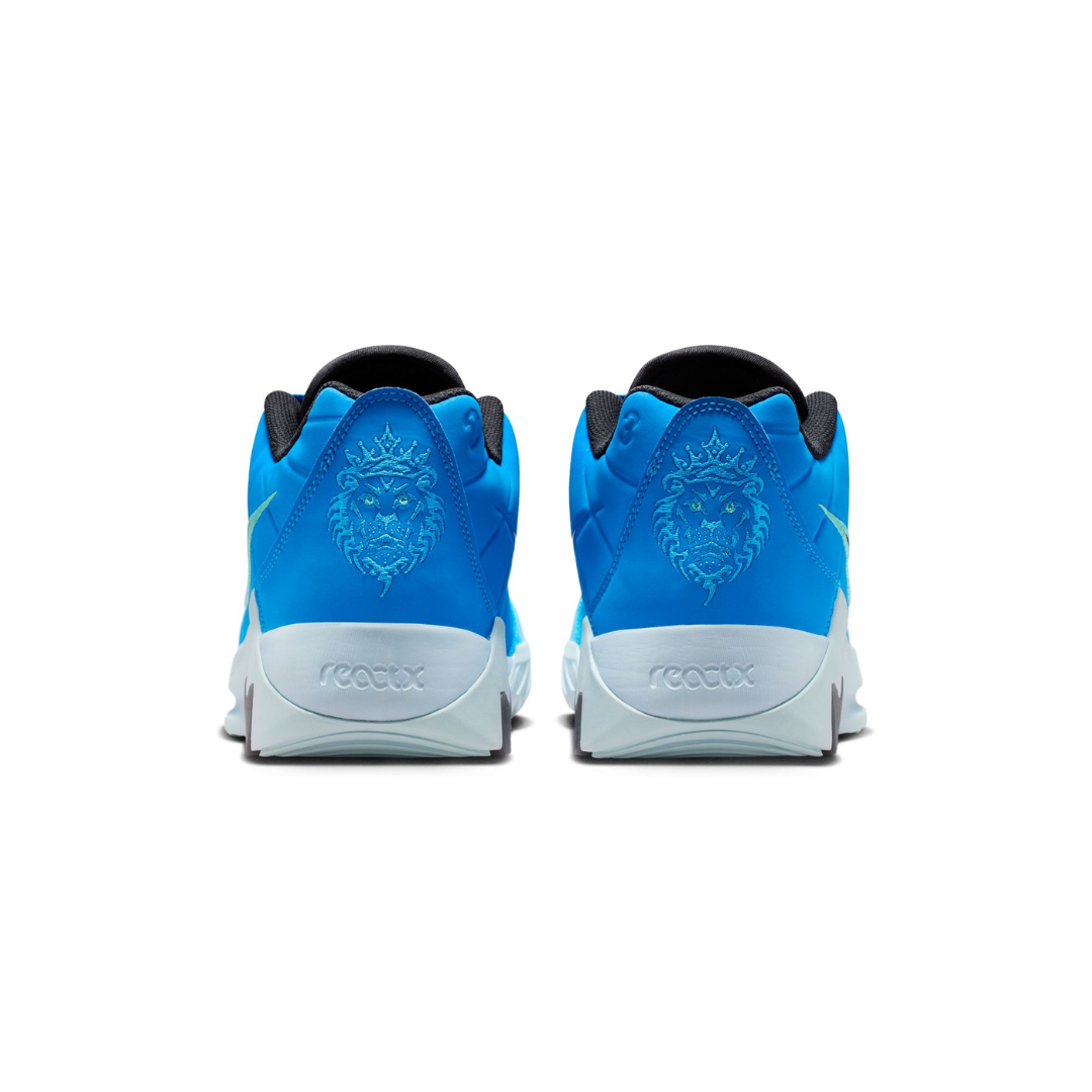 Nike Men LeBron Witness IX EP Basketball Shoes | HQ8035-400