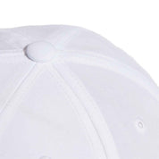 SCP-10805502:IC2069_4_HARDWARE_Photography_Detail_View_2_grey_Background_Removed.webp