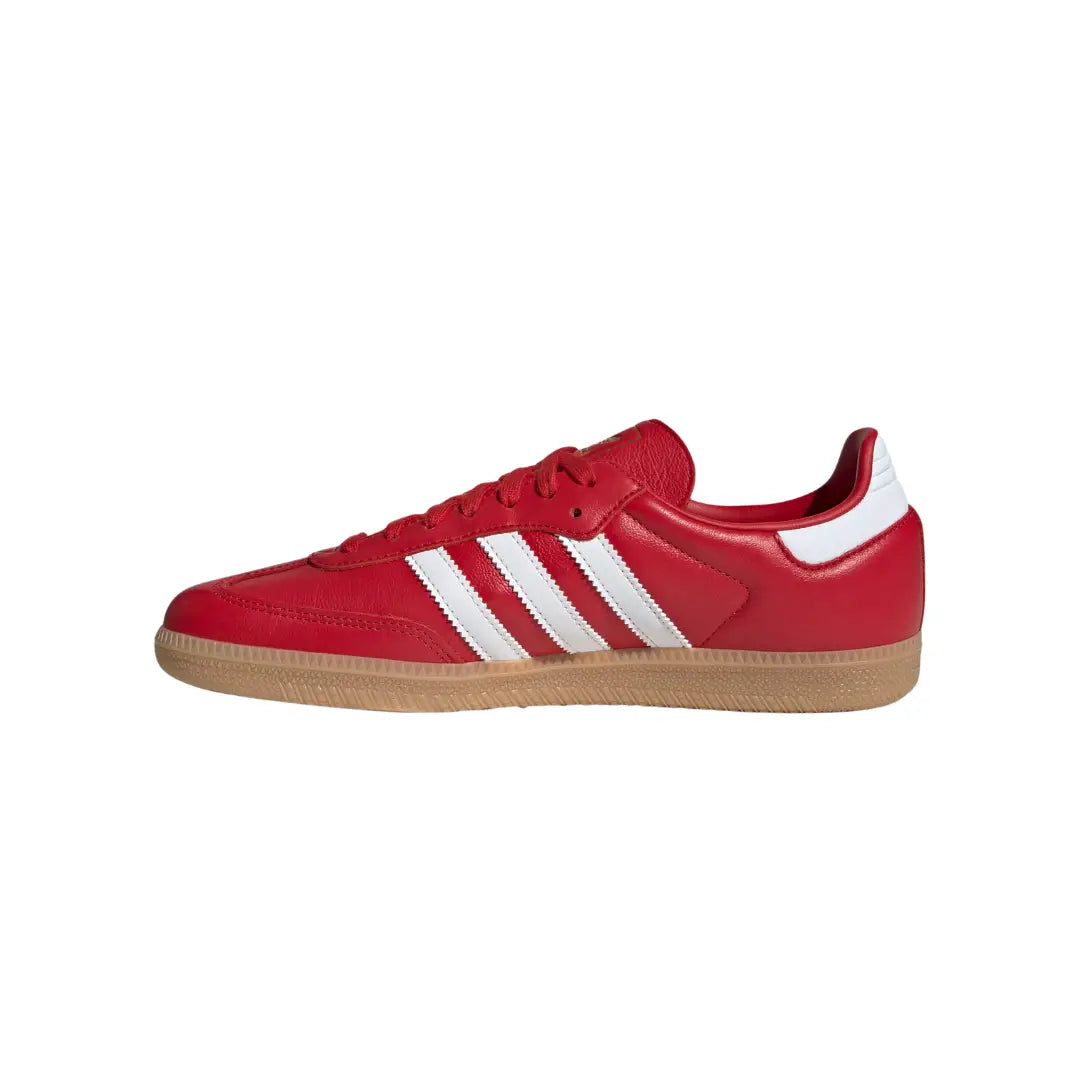 adidas Men Samba OG | JR0881