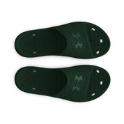 SCP-10766455:s7.3023758-302_TOE.webp