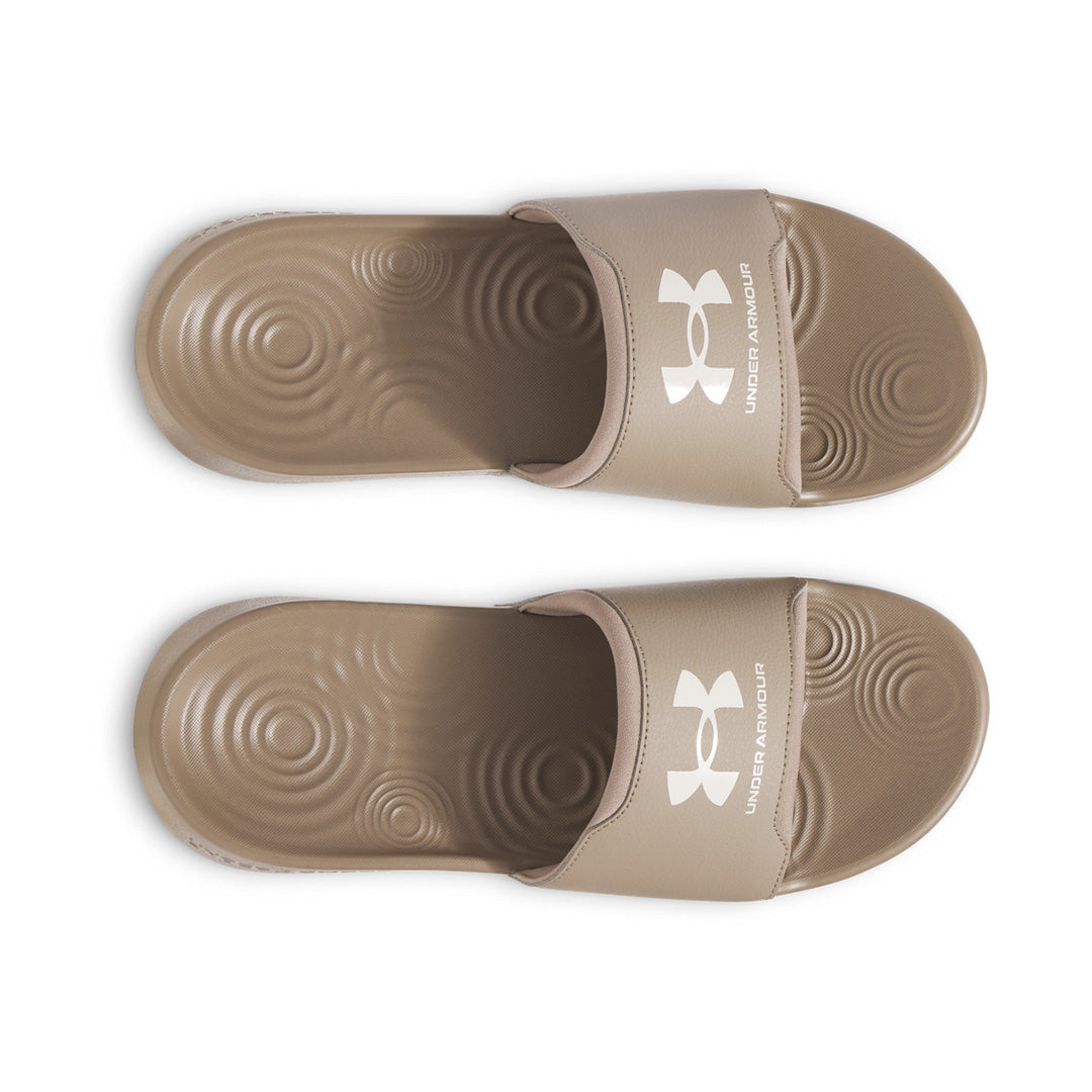 SCP-10780525:s7.3027219-247_TOE.webp