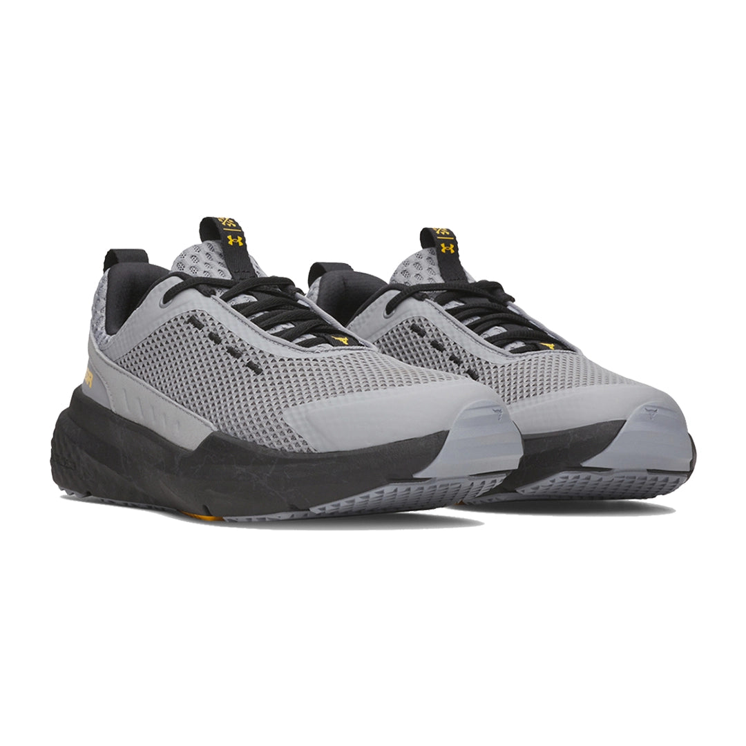 UA Men Project Rock BSR 5 Training Shoes | 3028296
