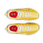 SCP-10843255:s7.3028379-721_TOE.webp