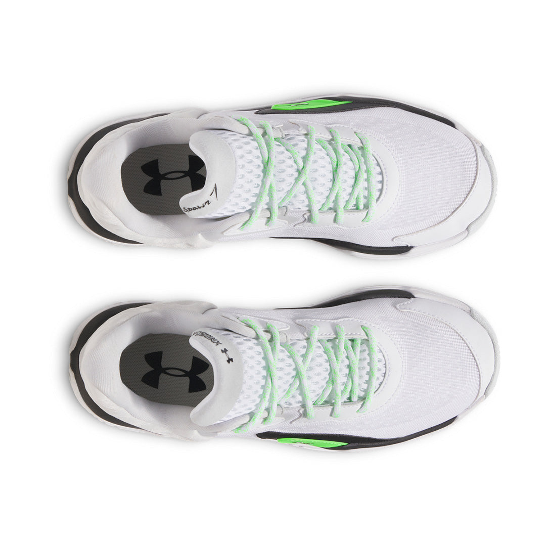SCP-10843369:s7.3028461-101_TOE.webp