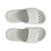 SCP-10843475:s7.6000033-377_TOE.webp