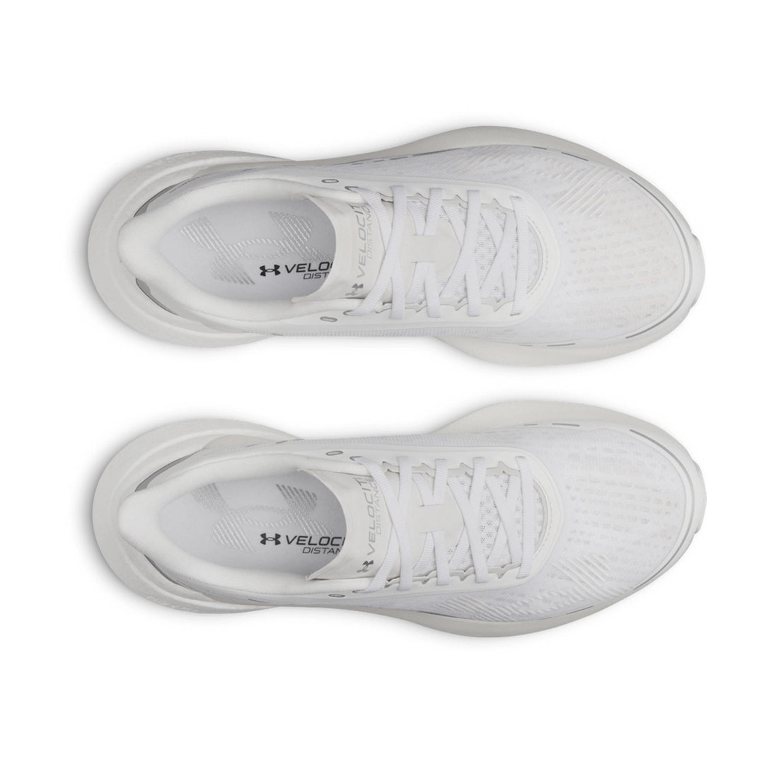 SCP-10908941:s7.6006030-100_TOE.webp